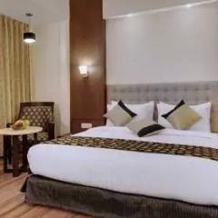 Отель The Pamposh New Delhi 3* Стандартный номер с различными типами кроватей фото 8
