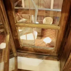 Mezzanine Hostel Стандартный номер разные типы кроватей