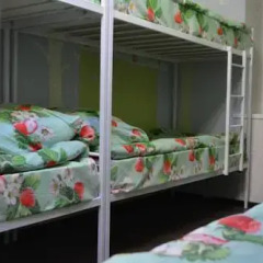 Hostel Matryoshka and Mishka Кровать в общем номере двухъярусные кровати
