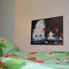 Hostel Matryoshka and Mishka Кровать в общем номере двухъярусные кровати фото 5