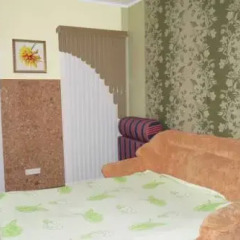 Апартаменты Victor's Apartments - Odessa Апартаменты с разными типами кроватей фото 17
