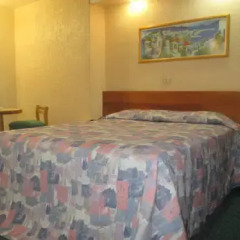 Hotel Hidalgo Стандартный номер фото 3