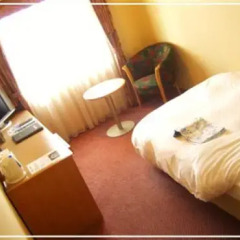 Hotel Lake Alster Alza Izumiotsu 3* Стандартный номер