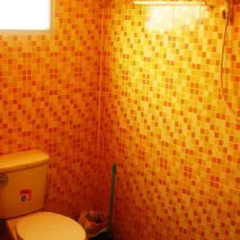 The Overstay Hostel Кровать в общем номере двухъярусные кровати фото 3
