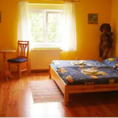 Отель Penzion Olga Стандартный номер с различными типами кроватей фото 9