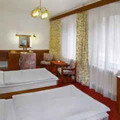 Spa Hotel Labe 2* Номер Комфорт с двуспальной кроватью