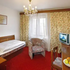 Spa Hotel Labe 2* Номер Комфорт с различными типами кроватей