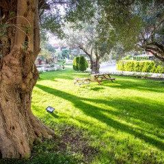 Отель Kassandra Village Resort Греция, Пефкохори - отзывы, цены и фото номеров - забронировать отель Kassandra Village Resort онлайн спортивное сооружение