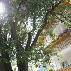 Отель Garni Appartment Wagnerhof Парчинес приотельная территория