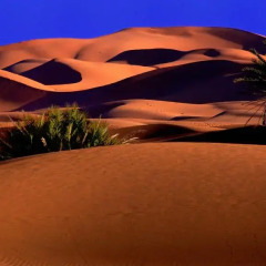 Отель Morocco Desert Trek Марокко, Мерзуга - отзывы, цены и фото номеров - забронировать отель Morocco Desert Trek онлайн спа