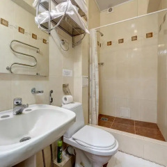 Гостиница Александрия 3* Номер Комфорт с разными типами кроватей фото 26