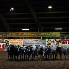 Отель Cowboys Guest Ranch Вогера городской автобус