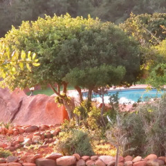 Отель Valley Bushveld Country Lodge балкон