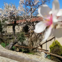Отель Valdolázaro Испания, Бельвис-де-ла-Хара - отзывы, цены и фото номеров - забронировать отель Valdolázaro онлайн фото 3