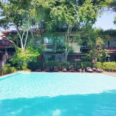 Отель Birds & Bees Resort 3* Люкс с различными типами кроватей фото 41