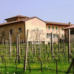 Отель Bio Agriturismo Vojon Понти-суль-Минчо детские мероприятия