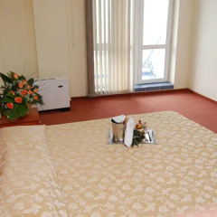 AF Hotel 4* Стандартный номер с различными типами кроватей фото 8