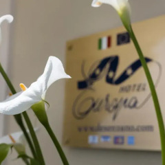 Отель Europa (Desenzano Del Garda) Дезенцано-дель-Гарда интерьер отеля фото 2