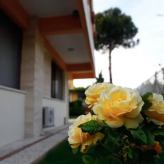 Villa Fokai Hotel Турция, Карабурун - отзывы, цены и фото номеров - забронировать отель Villa Fokai Hotel онлайн балкон