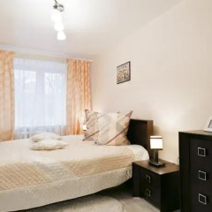 Апартаменты Minsk Double Room Apartments комната для гостей фото 2