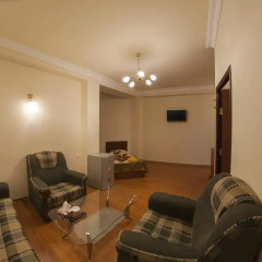 Jermuk Ani Hotel 3* Номер Делюкс с различными типами кроватей фото 3
