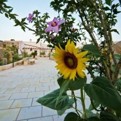 Отель Masseria Cinti Италия, Канноле - отзывы, цены и фото номеров - забронировать отель Masseria Cinti онлайн