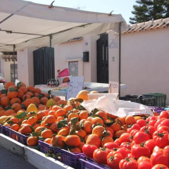 Отель Casa Playa Flamenca питание