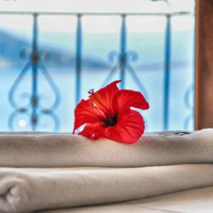 Отель Villa Buy Vista 1 комната для гостей фото 3