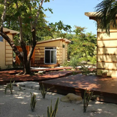 Отель Coral Beach Village Resort Бунгало с различными типами кроватей фото 6