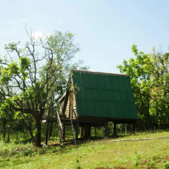 Отель Nature Lodge 2* Бунгало Эконом с различными типами кроватей