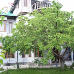 Отель Guest House on ul Davidashen 10 Армения, Ереван - отзывы, цены и фото номеров - забронировать отель Guest House on ul Davidashen 10 онлайн фото 9