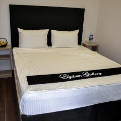 Elysium Gallery Hotel 3* Номер Комфорт с двуспальной кроватью фото 8