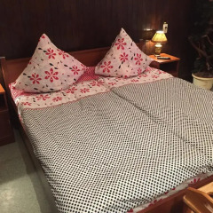 Гостиница Razliv Zaliv Hostel & Hotel в Санкт-Петербурге 3 отзыва об отеле, цены и фото номеров - забронировать гостиницу Razliv Zaliv Hostel & Hotel онлайн Санкт-Петербург комната для гостей фото 4