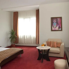 Park Hotel Arbanassi 4* Стандартный номер фото 3
