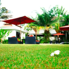 Отель Palm Grove Resort Таиланд, На Чом Тхиан - 1 отзыв об отеле, цены и фото номеров - забронировать отель Palm Grove Resort онлайн фото 6