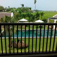 Отель Gem Hoi An Villa 2* Стандартный номер с различными типами кроватей фото 3