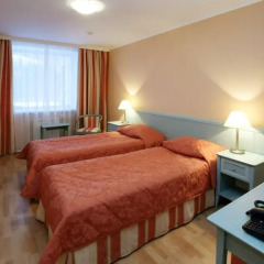 Park-Hotel Pushkin 3* Стандартный номер с двуспальной кроватью