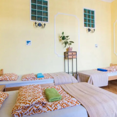 Отель Downtown Oasis Guesthouse Стандартный номер с различными типами кроватей (общая ванная комната) фото 5