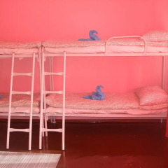 Na Liteynom Hostel Кровать в женском общем номере с двухъярусной кроватью
