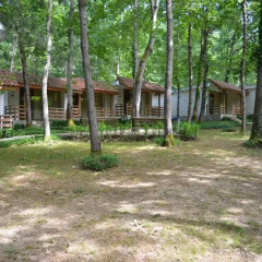 Отель Villas Ropotamo Maisonette Болгария, Приморско - отзывы, цены и фото номеров - забронировать отель Villas Ropotamo Maisonette онлайн фото 6