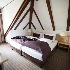 Olympia Hotel Zurich 3* Полулюкс с различными типами кроватей фото 10