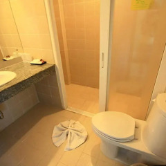 Отель Bacchus Home Resort 3* Улучшенный номер с различными типами кроватей фото 3