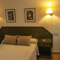 Hotel Salvador 3* Стандартный номер с различными типами кроватей фото 9