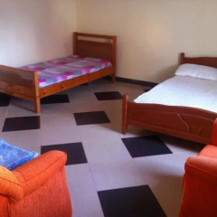 Dolphin Hostel Номер с общей ванной комнатой с различными типами кроватей (общая ванная комната) фото 10