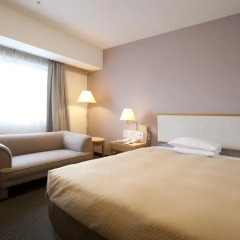 Toyama Excel Hotel Tokyu 3* Стандартный номер