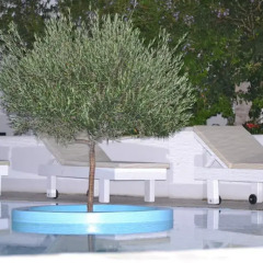 Veggera Hotel бассейн фото 2