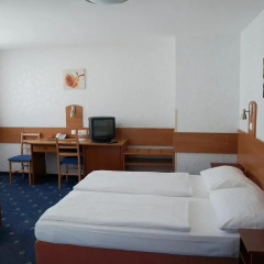 Hotel Terminus Vienna 2* Стандартный номер с разными типами кроватей фото 4