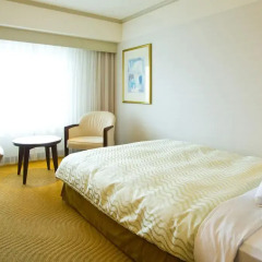 Hotel Nikko Kansai Airport 4* Номер Premium economy class с двуспальной кроватью