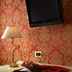 Hotel Torino 3* Стандартный номер с различными типами кроватей фото 11