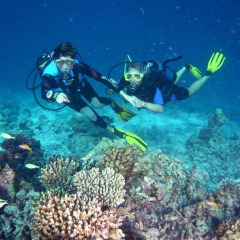 Отель Canareef Resort Maldives спортивное сооружение